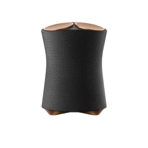 Sony SRS-RA5000 Premium Wireless Speaker