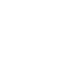Customer Experience Specialist