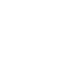 Digital Marketing Coordinator